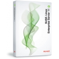 SUSE Linux Enterprise Server 10